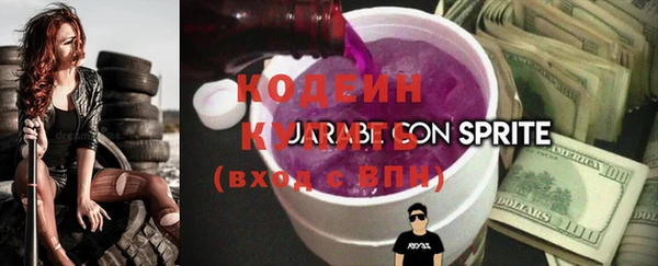 шишки Аркадак