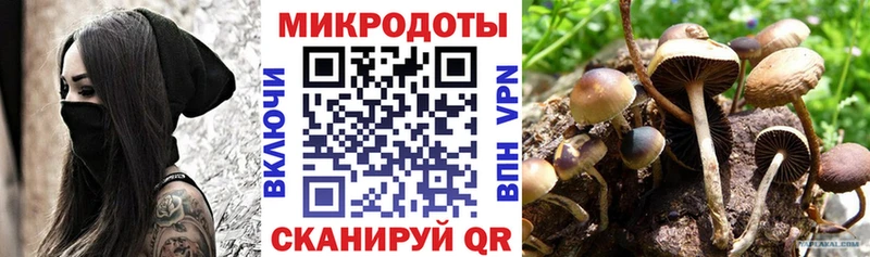 Галлюциногенные грибы ЛСД  наркотики  Малмыж 